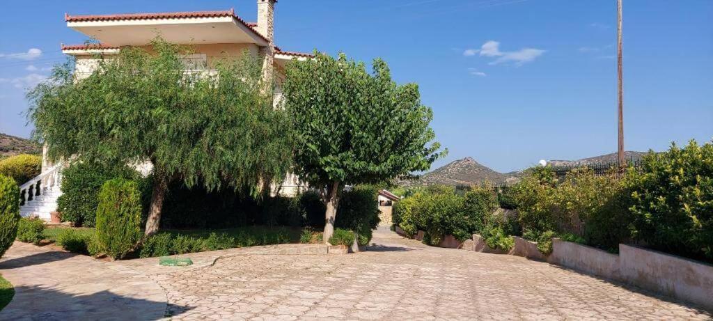Evelina'S Suite Artemida (Attica) Exterior foto